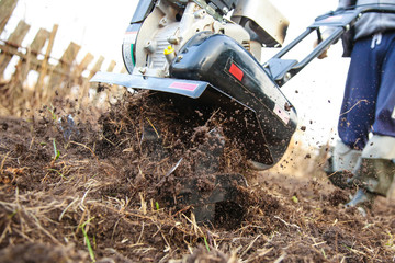 ploughing the soil with a cultivator close up. the farmer cultivates the ground. gasoline cultivator digs the ground
