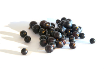 Handful of black currant berries