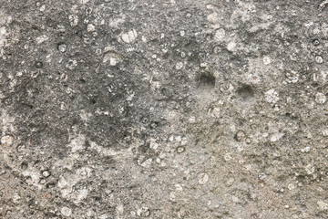texture of untreated rough stone