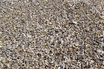 Texture of many multicolored beautiful round and oval smooth natural stones, pebbles. The background.