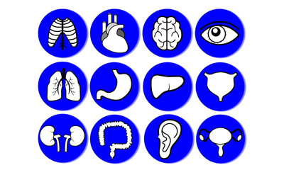 Healthcare body organs vector icon pack for Powerpoints Google Slides and Keynote presentations