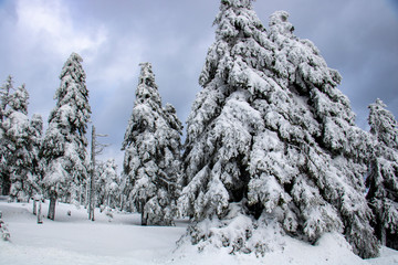 Winter auf dem Brocken 8