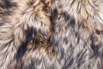 Closeup of Wolf fake fur texture