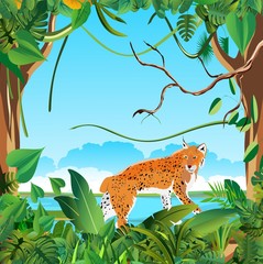 Jungle floral frame, template design, lynx on tree trunk. 