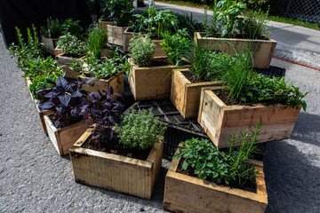 Organic produce sold at farmer's market. A high angle view of rustic wooden planters filled with a...