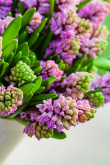 Fototapeta premium bright hyacinth flowers in the vase