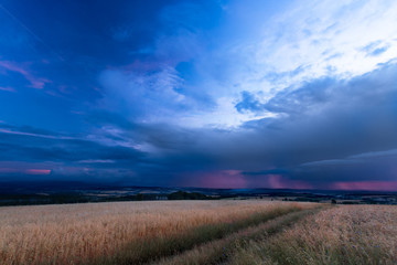 Storm coming in a big dark cloud over cereal fields at the late summer evening