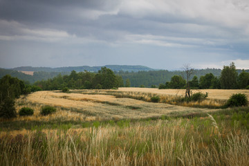 Field before storm panorama