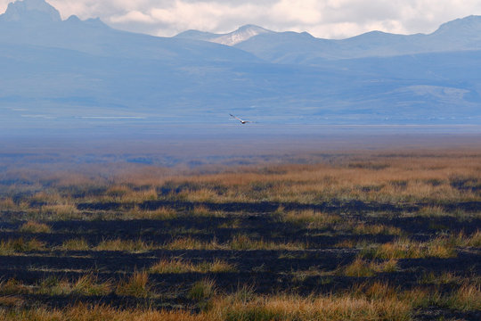 burning of Andean grasslands on Lake Junin