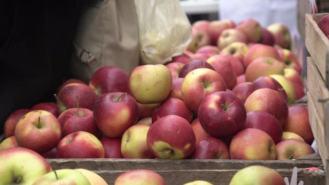 Costumer choosing red apples in city fruit and vegetable market. Buyer picking red juicy apples in farmers market