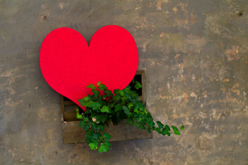 heart on the wall,pink,love,symbol,decoration,romance,romantic,