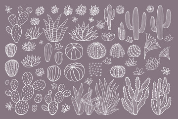 Cactus succulent collection. Cacti sketchy style pastel background. Hand drawn cactuses vector illustration - obrazy, fototapety, plakaty