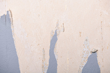 Removing old wallpaper from the wall