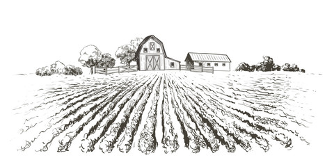 Rural landscape field . Hand drawn vector illustration. Countryside landscape. Engraving style