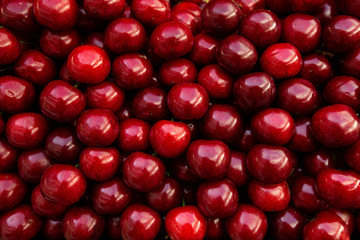 A lot of cherries on sale at farms market
