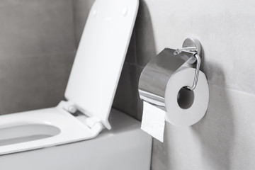 Roll of white toilet paper hanging on metal toilet-paper holder at restroom