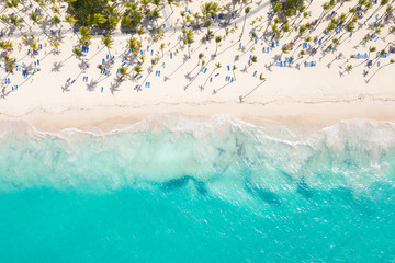 Aerial view from drone on caribbean seashore with coconut palm trees and sunbeds - obrazy, fototapety, plakaty