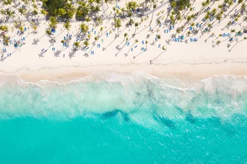 Foto op Canvas Aerial view from drone on caribbean seashore with coconut palm trees and sunbeds © photopixel