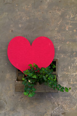pink heart on wall background,romance, hearts, symbol,passion, decoration,love,color, 