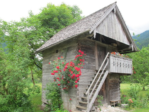 alter gedreidekasten