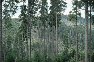 Summer ride to Praded, the highest peak of Jeseniky mountains