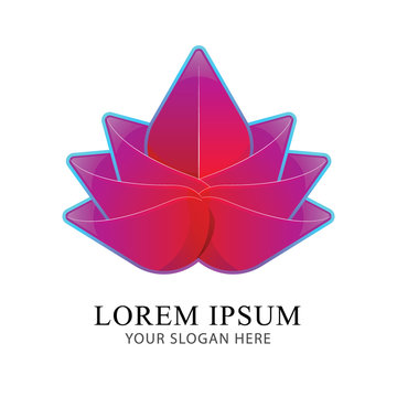 Lotus bright Logo Identity Beautiful Brand design vector template.