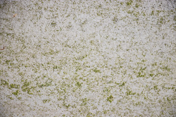 Moss Rough grunge vintage background distressed weathered dirty old texture