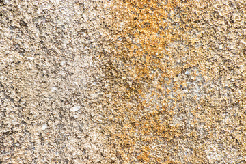 Moss Rough grunge vintage background distressed weathered dirty old texture