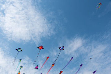 Kites with blue sky and white clouds