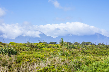 Fototapeta na wymiar Landscape scenery in south New Zealand