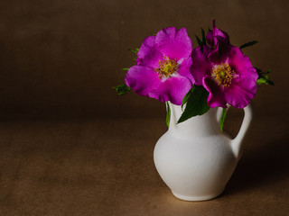 Flowers and leaves of dog rose in little white ceramic jug on against the background of dark craft paper
