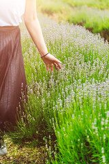 Girl in the field of organic lavender flowers