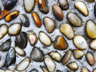 Path of stones. Rainforest. Background. Texture.