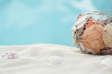 Verschiedene Muscheln im netz gesammelt