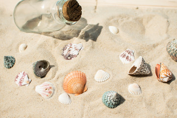 Strand mit Muscheln und einer Flaschenpost 
