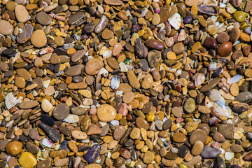 Wet stone on the beach