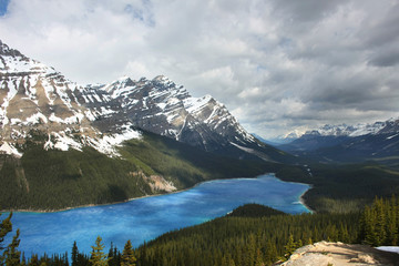 Fototapeta premium Peyto Lake