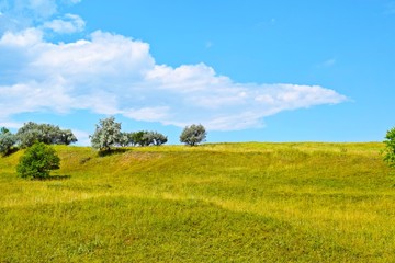 The slope of the mountain against the blue sky.Picturesque meadow.