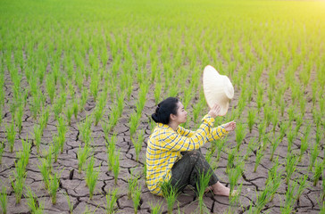 Woman farmer sat staring  rice seedlings