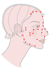 Active acupuncture points on the profile template Girl with a short haircut and a beautiful skull. Vector image