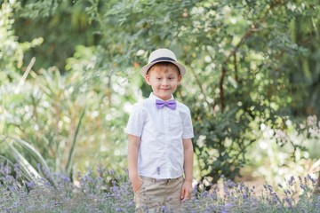 A little boy of 5 years old walks in a flowered park. Lavender. Spring. Portrait of a boy in a hat with a bow tie.