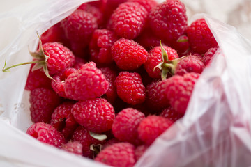 Freshly picked raspberries in foil bag