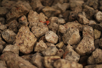 brown stones on the ground 
