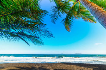 Dark sand and palm trees in Grande Anse beach in Guadeloupe