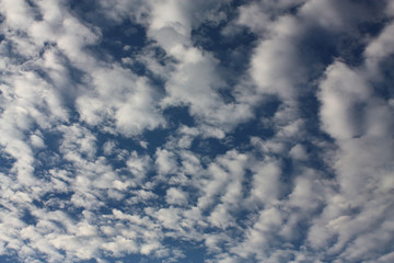 Blue Sky with Puffy Clouds