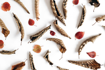 Autumn composition. Pattern from dried leaves on white background. Autumn, fall, thanksgiving day concept. Creative Flat lay, top view, copy space
