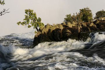 Zambezi Rapids