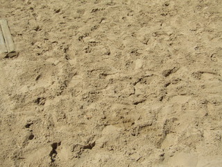 ARENA DE PLAYA, suelo, playa, arena, muro, textura, recubrir,