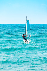 Windsurfer