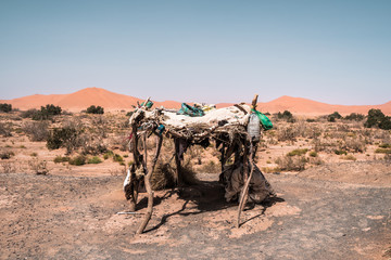 Berber nomad camp, Sahara desert of Morocc. Old african tradition